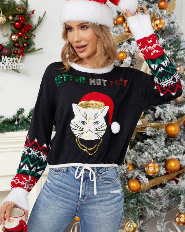 Günlük Yuvarlak Yaka Kedi Nakışlı Payetli Kazak